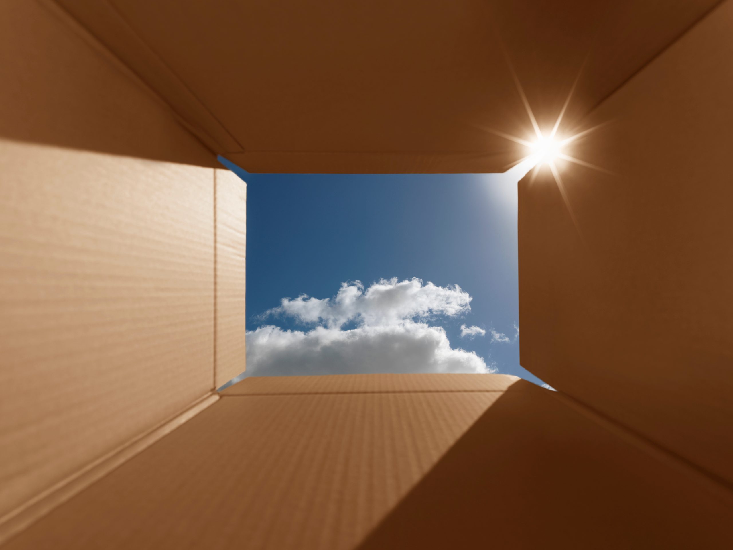 The beauty of 'Blue Sky' thinking Wazoku