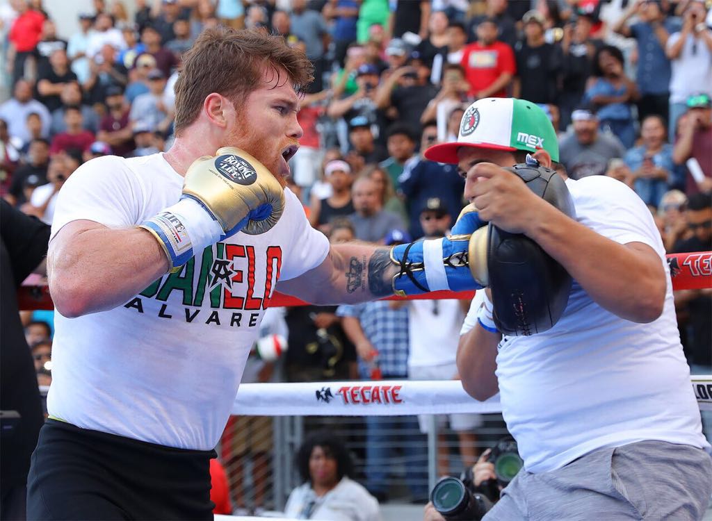 Canelo the boy from Guadalajara who seeks greatness World Boxing