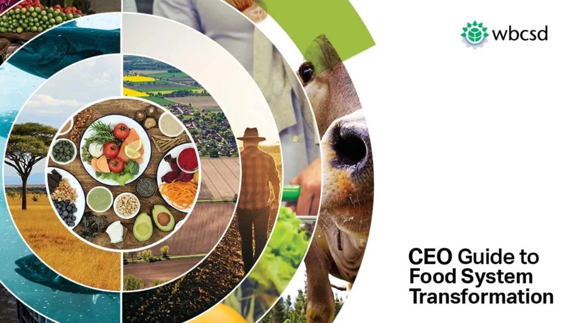 CEO Guide to Food System Transformation WBCSD