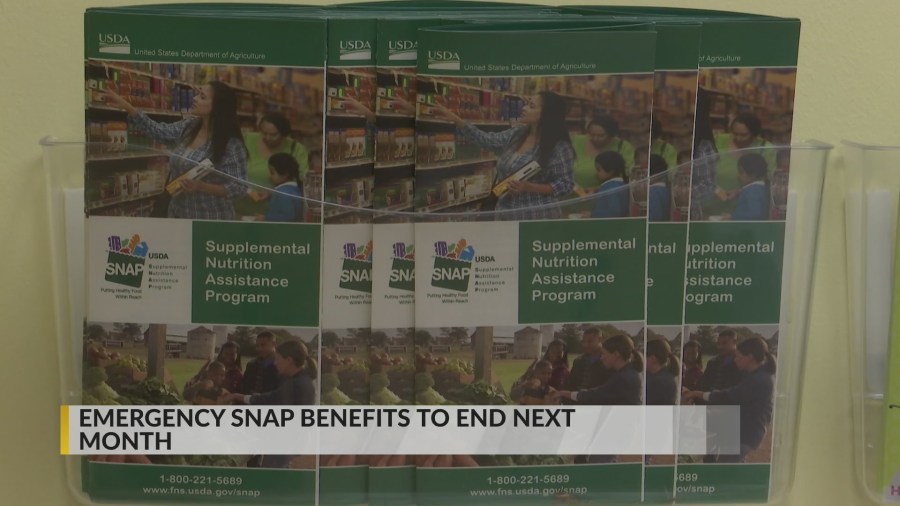 Emergency SNAP benefits in South Carolina set to end on Aug. 1 WBTW