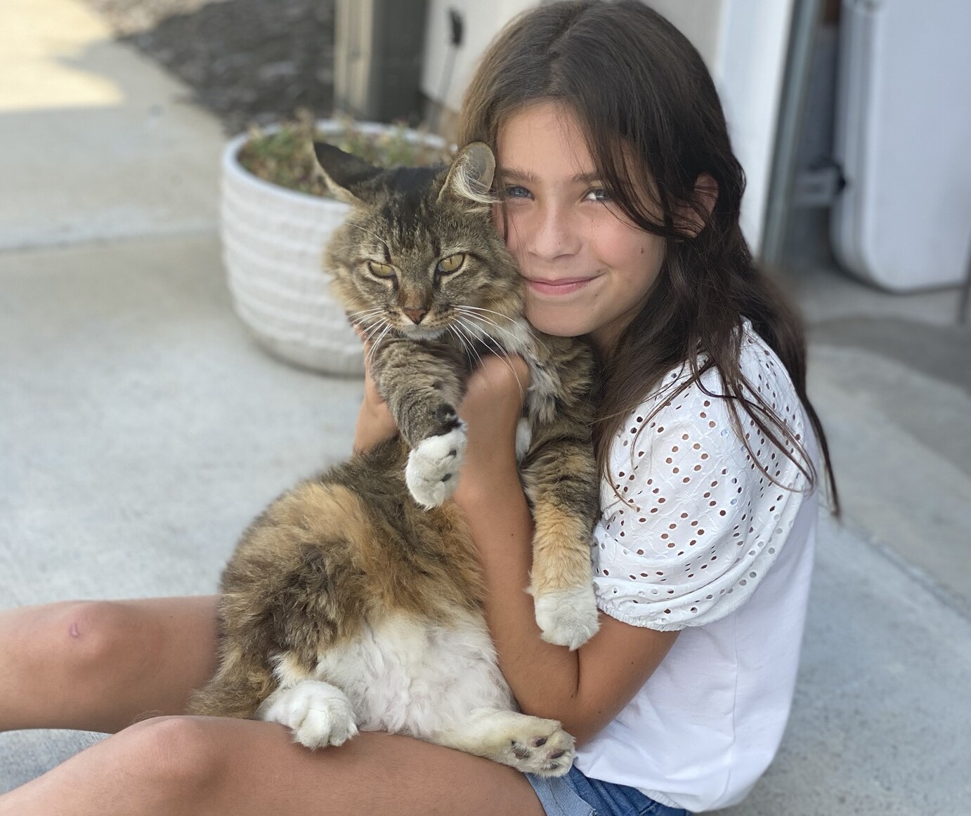 Missing Maine Coon Cat WDEF