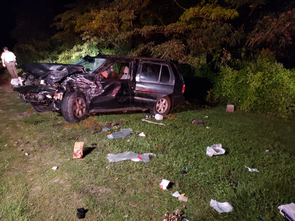 Several injured in wreck on Highway 231 south of Dothan Monday night