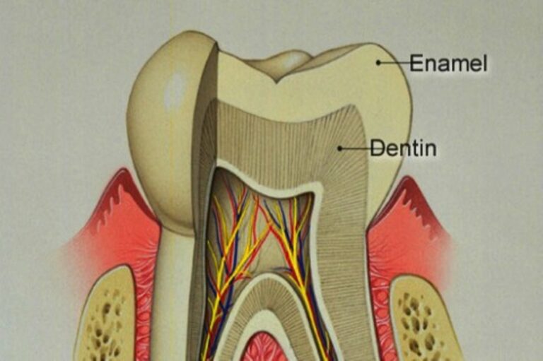 Understanding Tooth Enamel Damage in Adults and Children