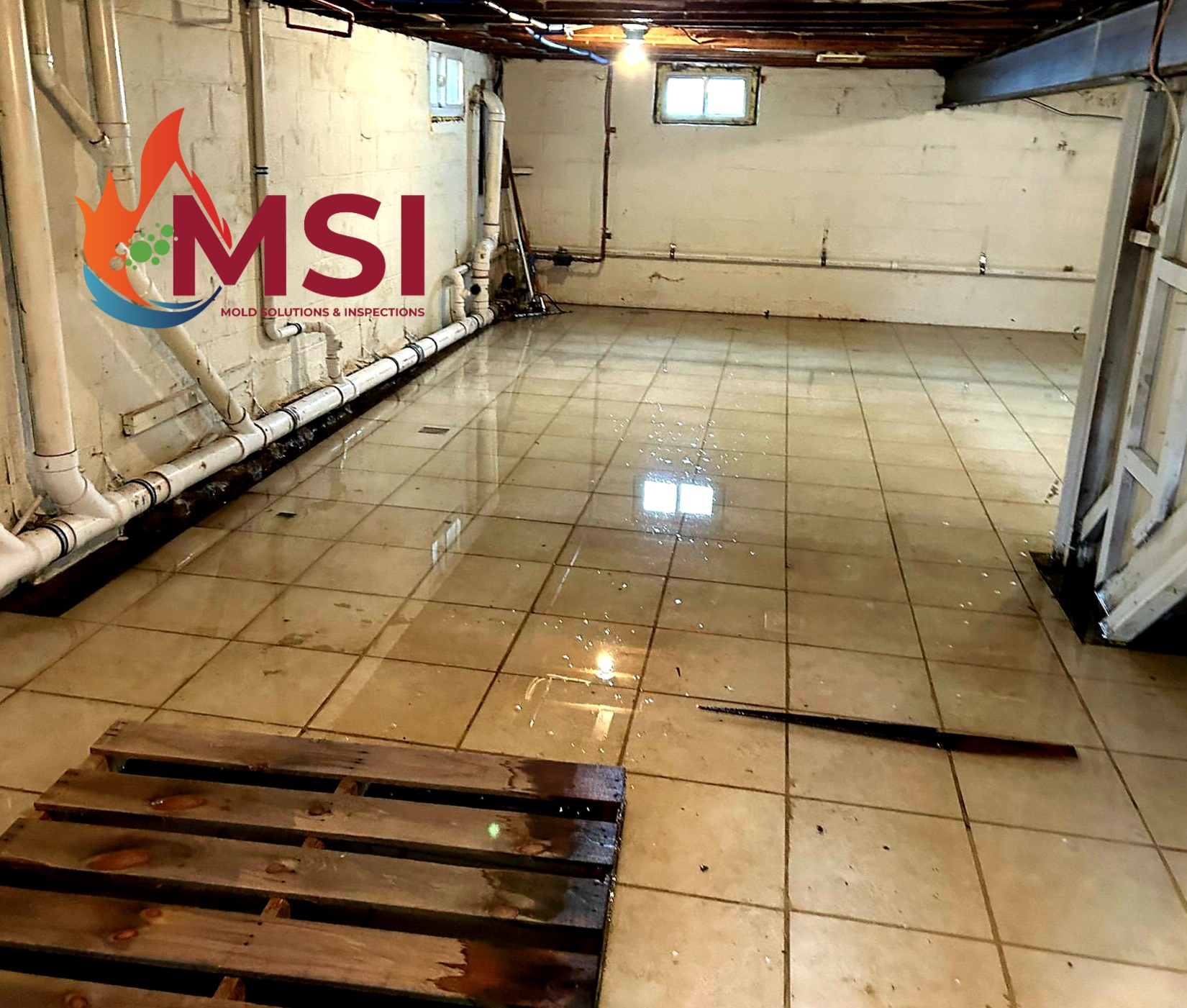 Preventing Pipes From Freezing Mold Solutions & Inspections