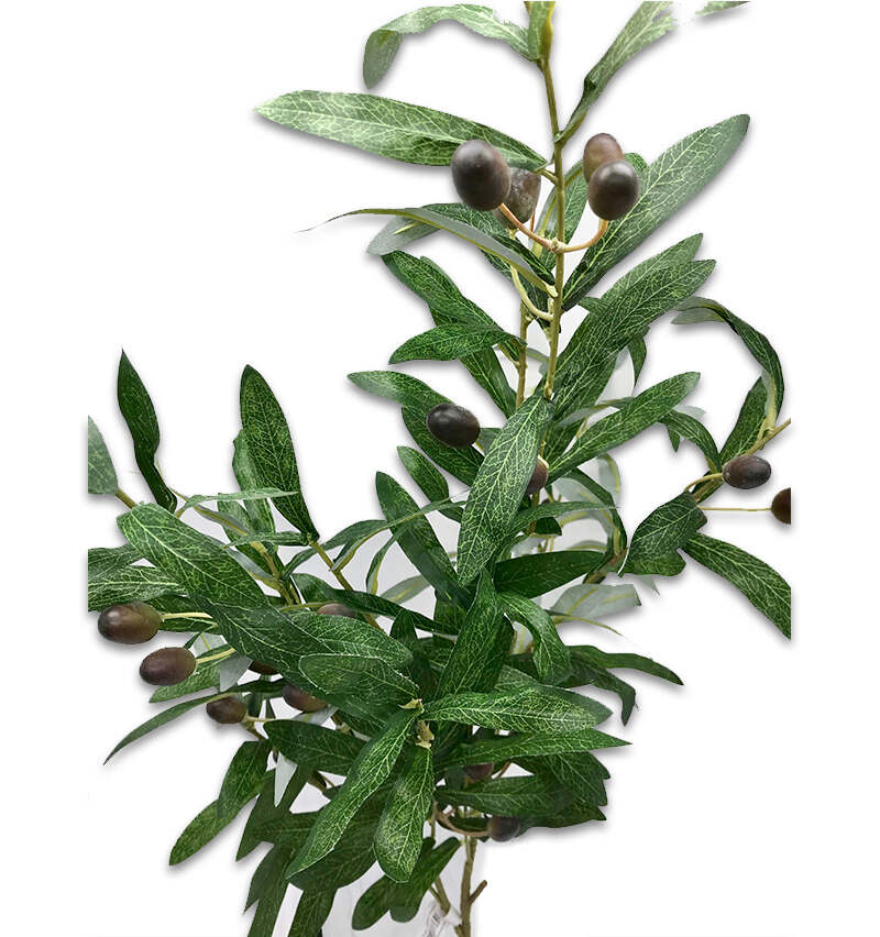 Large Olive Tree Spray