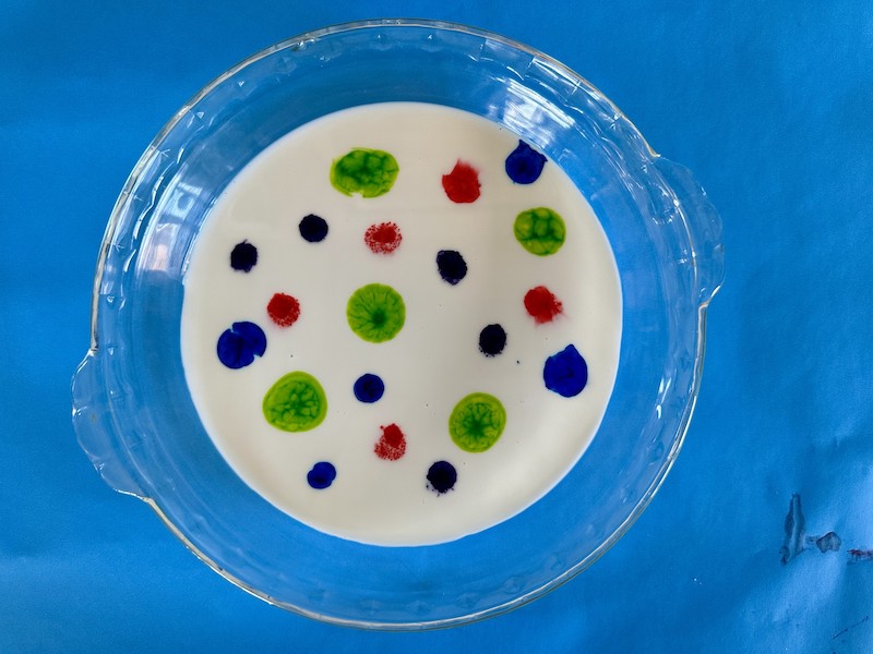 Magic Milk Experiment HowTo Plus Free Worksheet We Are Teachers