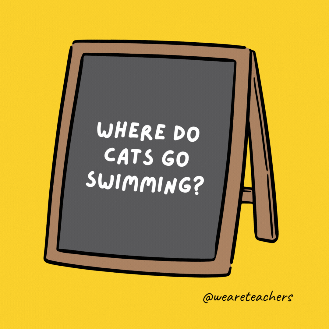 The Best Funny Jokes for Teens
