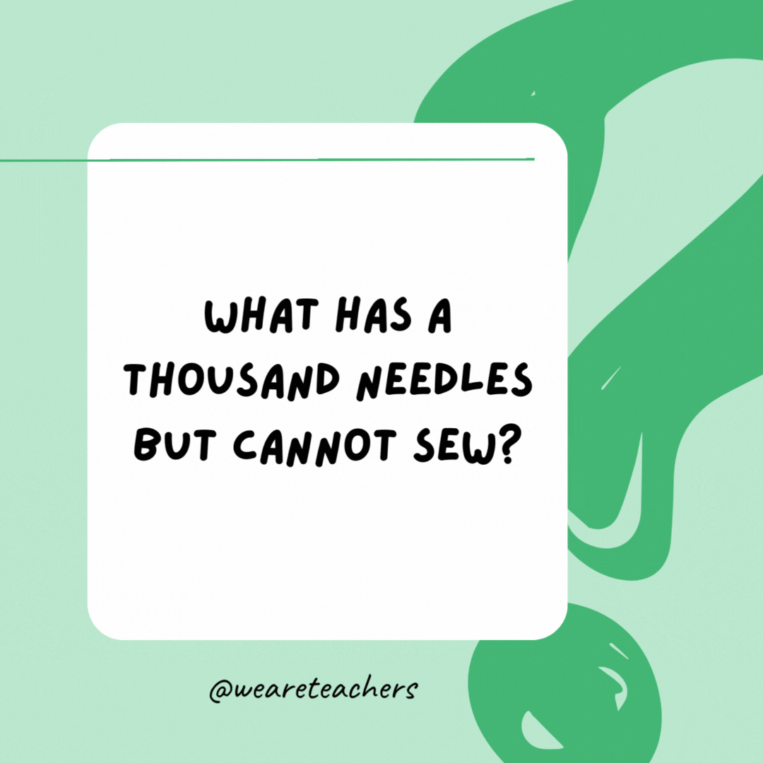 100+ Best Funny Riddles To Make You Laugh … and Think Stella Maris Press