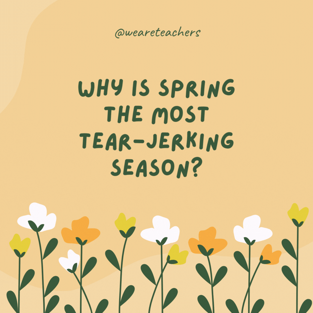 120 Spring Jokes To Brighten the Season Stella Maris Press