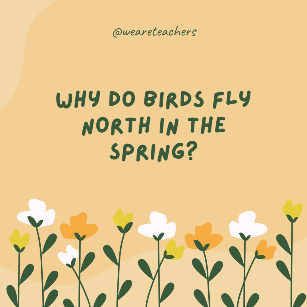 120 Spring Jokes To Brighten the Season