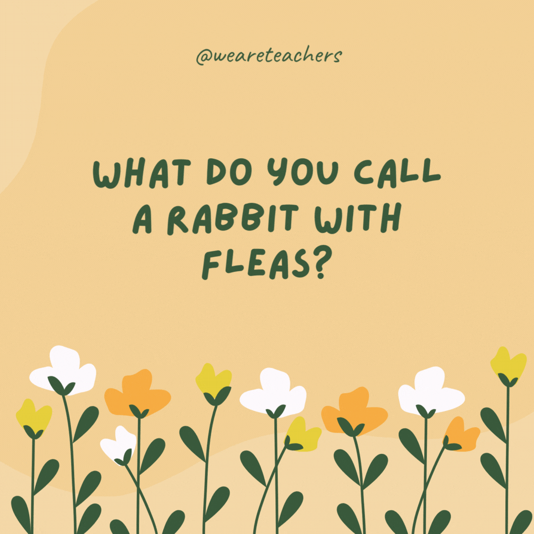 120 Spring Jokes To Brighten the Season