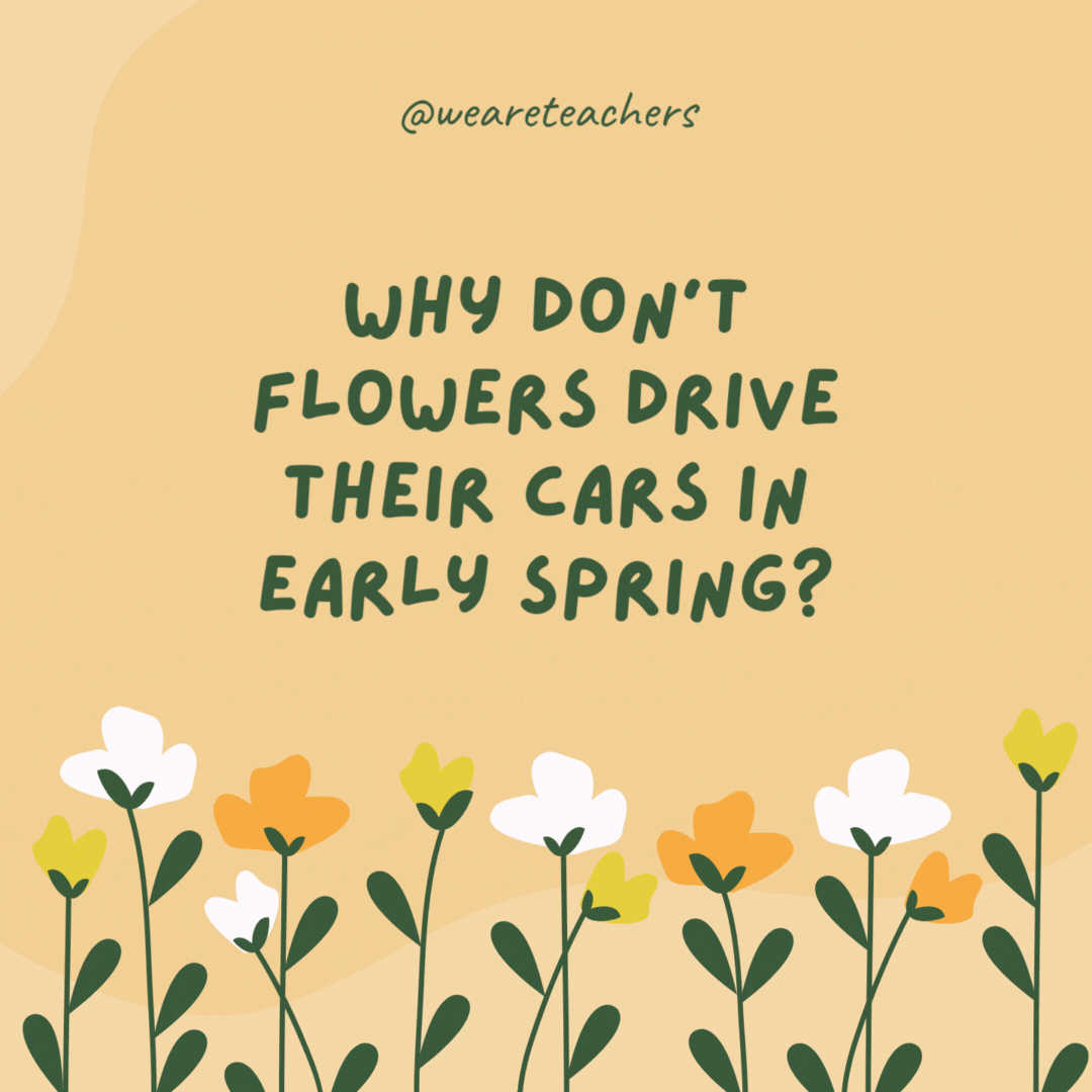 120 Spring Jokes To Brighten the Season