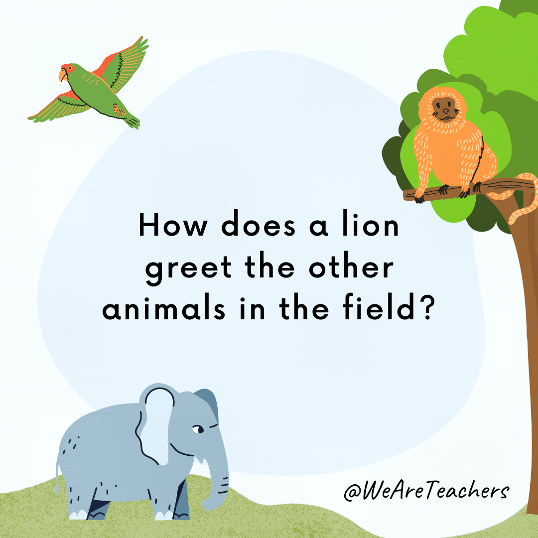101 Hootlarious Animal Jokes