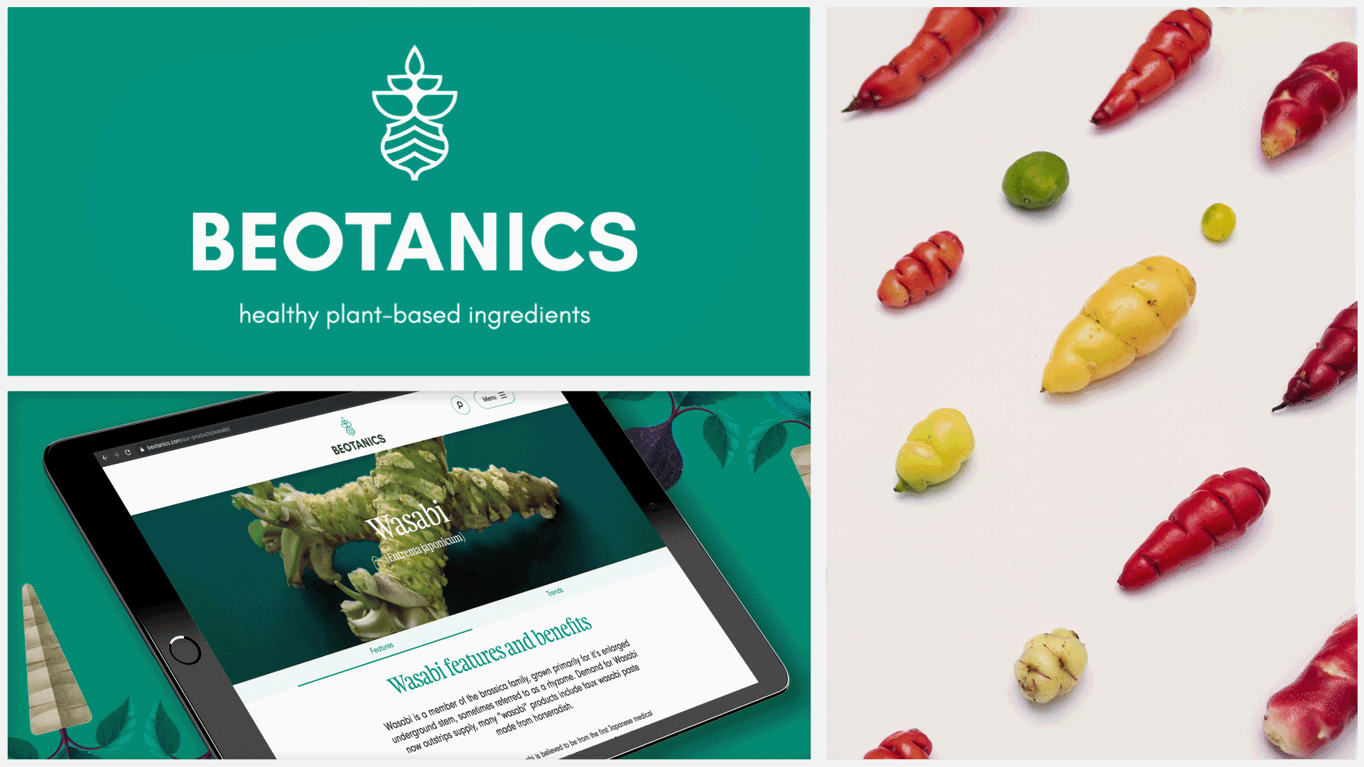 Brand Identity Systems for Food Ingredients Threesixty