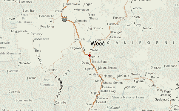 Weed Weather Forecast