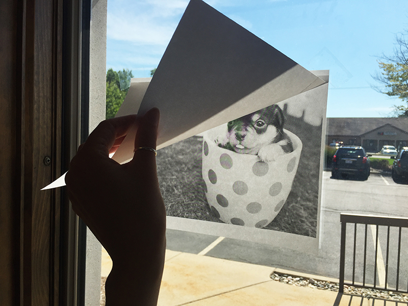 How to Turn a Photo into a Vector Line Art with Illustrator Web Ascender