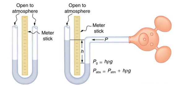 Solved Find The Gauge And Absolute Pressures In The Ballo...