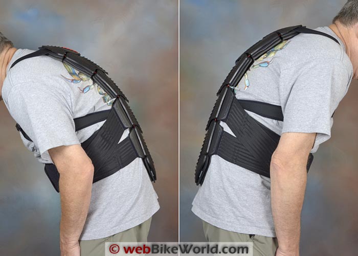 Dainese Manis Back Protector Review webBikeWorld