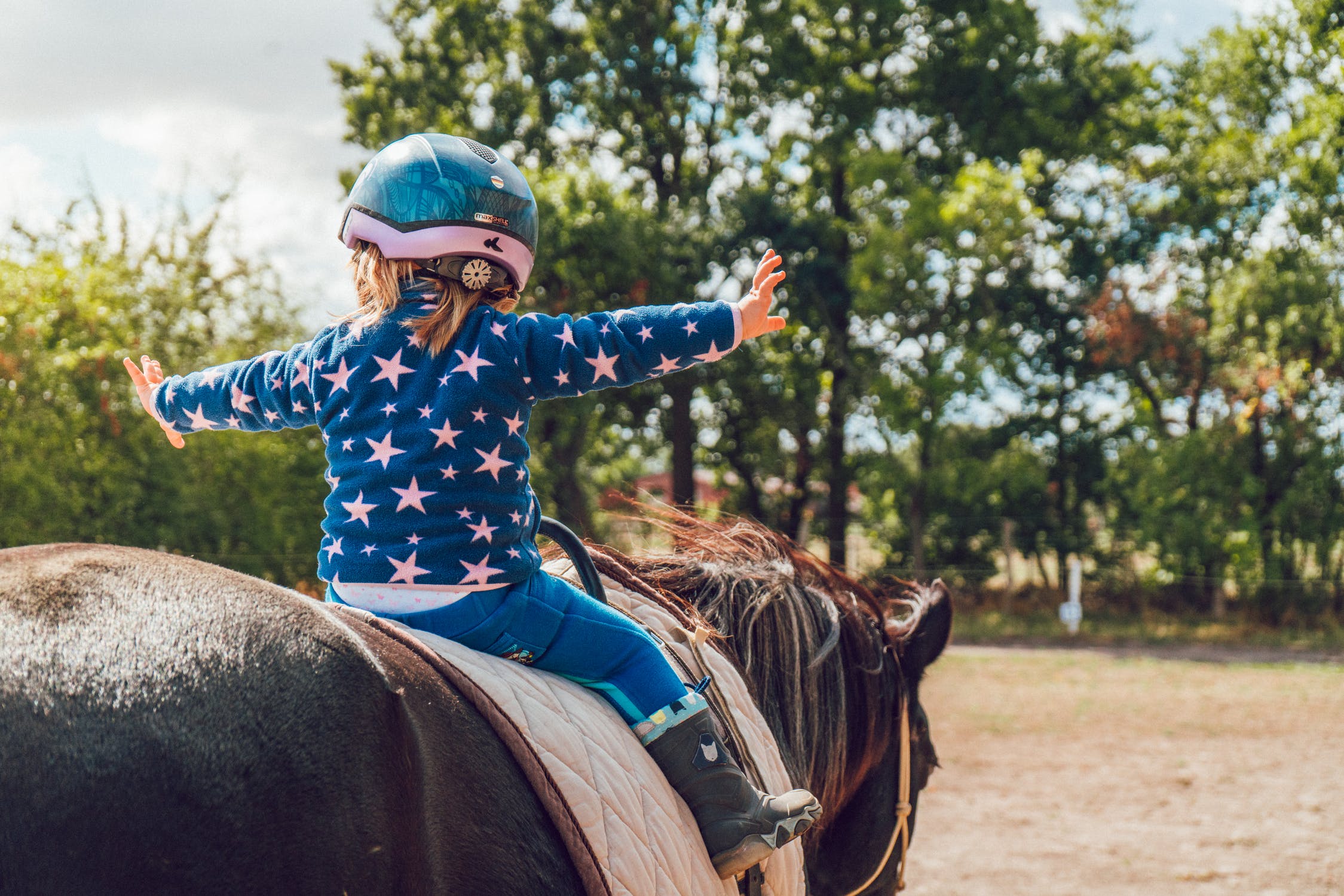 Webb's Holiday Acres Summer Camp, School Groups & Private Event Rentals