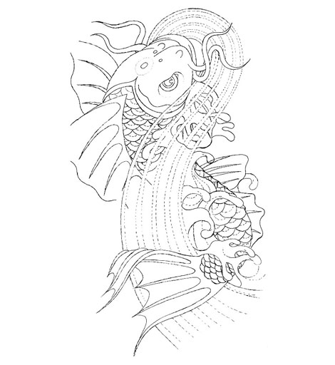 Design Process Of Koi Illustration - Web Designer Wall 512_x_470_jpg