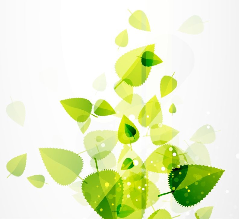 Abstract Green Leaves Vector Background Free Vector Graphics All