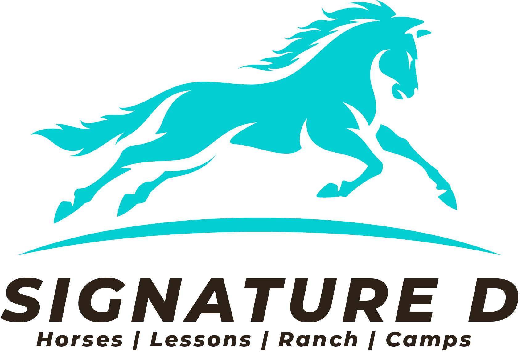 Signature D Horses The Little  Design Shop. LLC