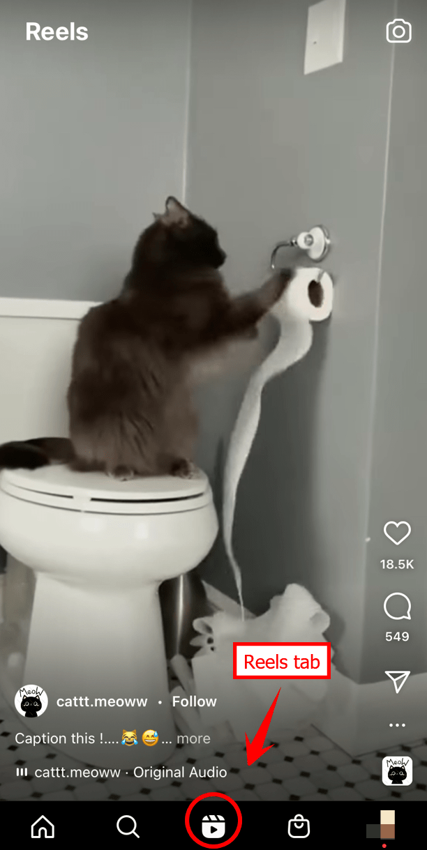 8 Best Instagram Reels Ideas for Dominating the Competition