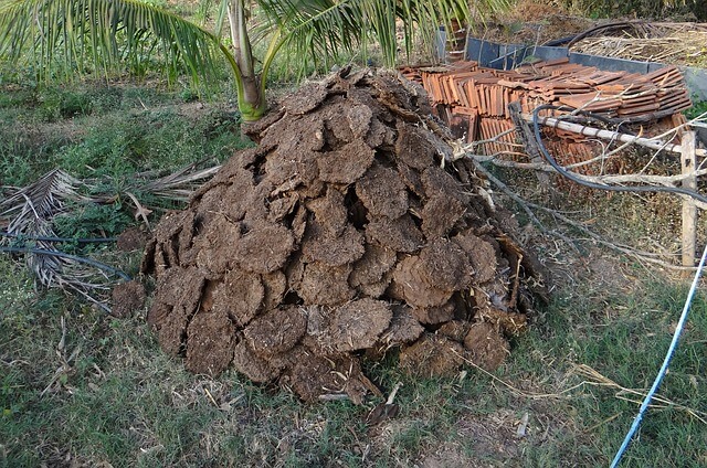 How to Make Compost Manure Step By Step
