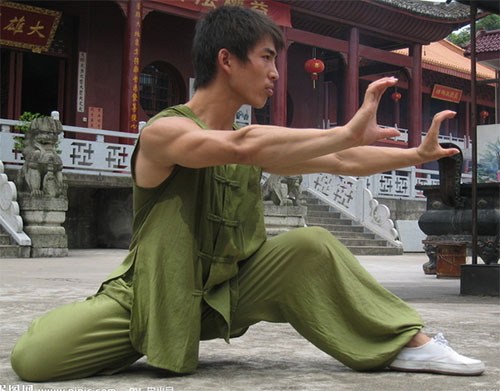 How to choose your Kung Fu shoes? Webmartial