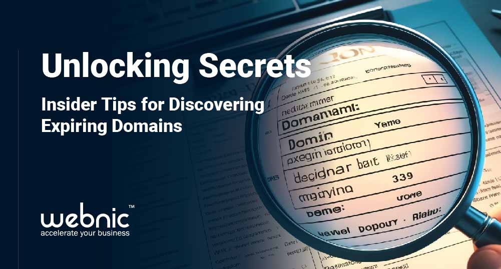 Insider Tips Discovering Expiring Domains WebNIC(05)