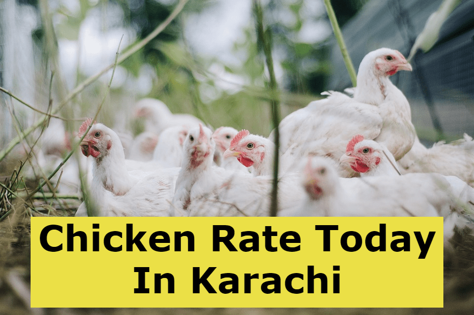 Chicken Rate Today Karachi Today Chicken Price Per KG