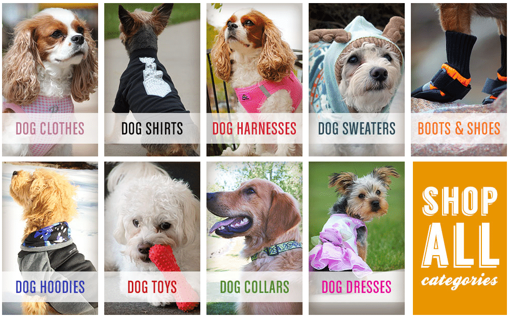 BaxterBoo Promo Code Get Top Discount + Free Shipping!