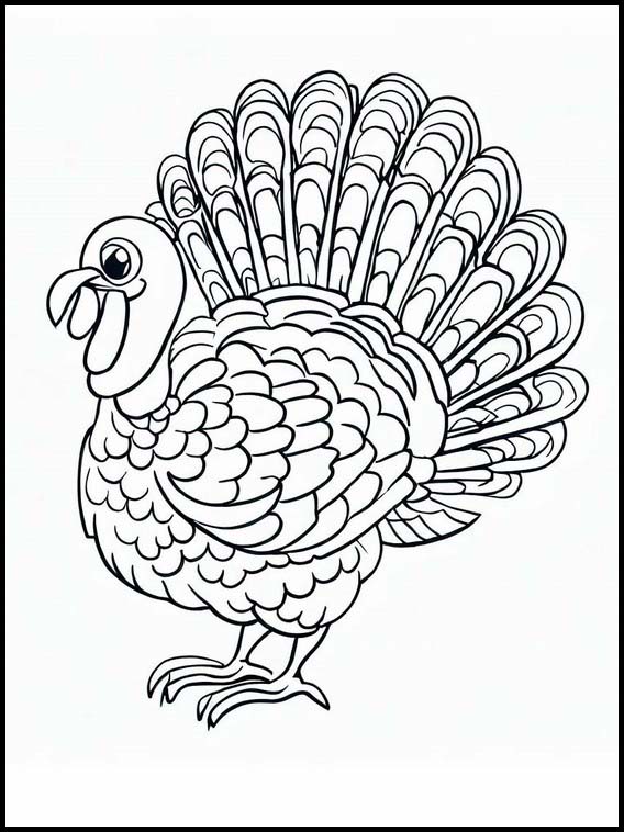 Coloring Turkeys Animals 2