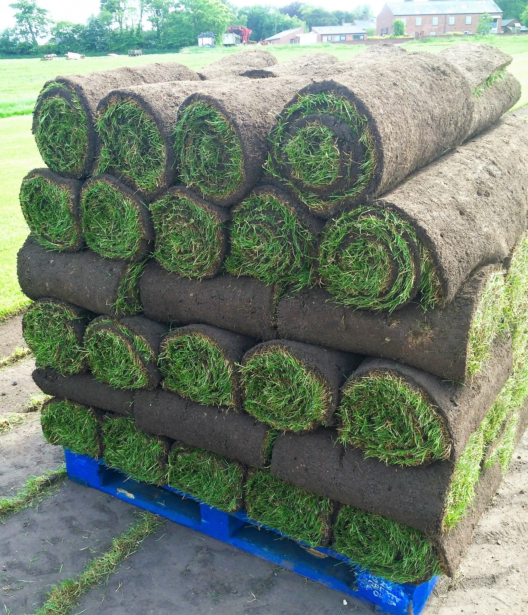 Best Turf Prices in Burscough