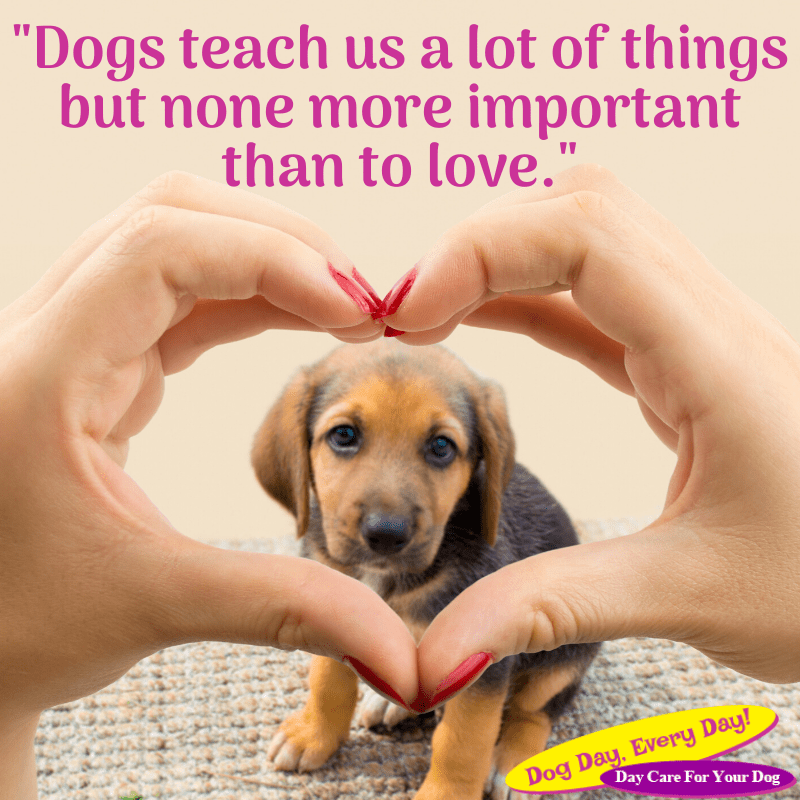 Portfolio Web Strategy Plus Cincinnati OH