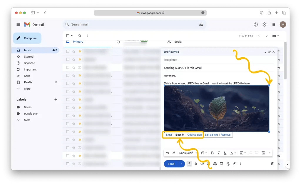 Sending A JPEG File Via Gmail (StepByStep Guide) TipsTech
