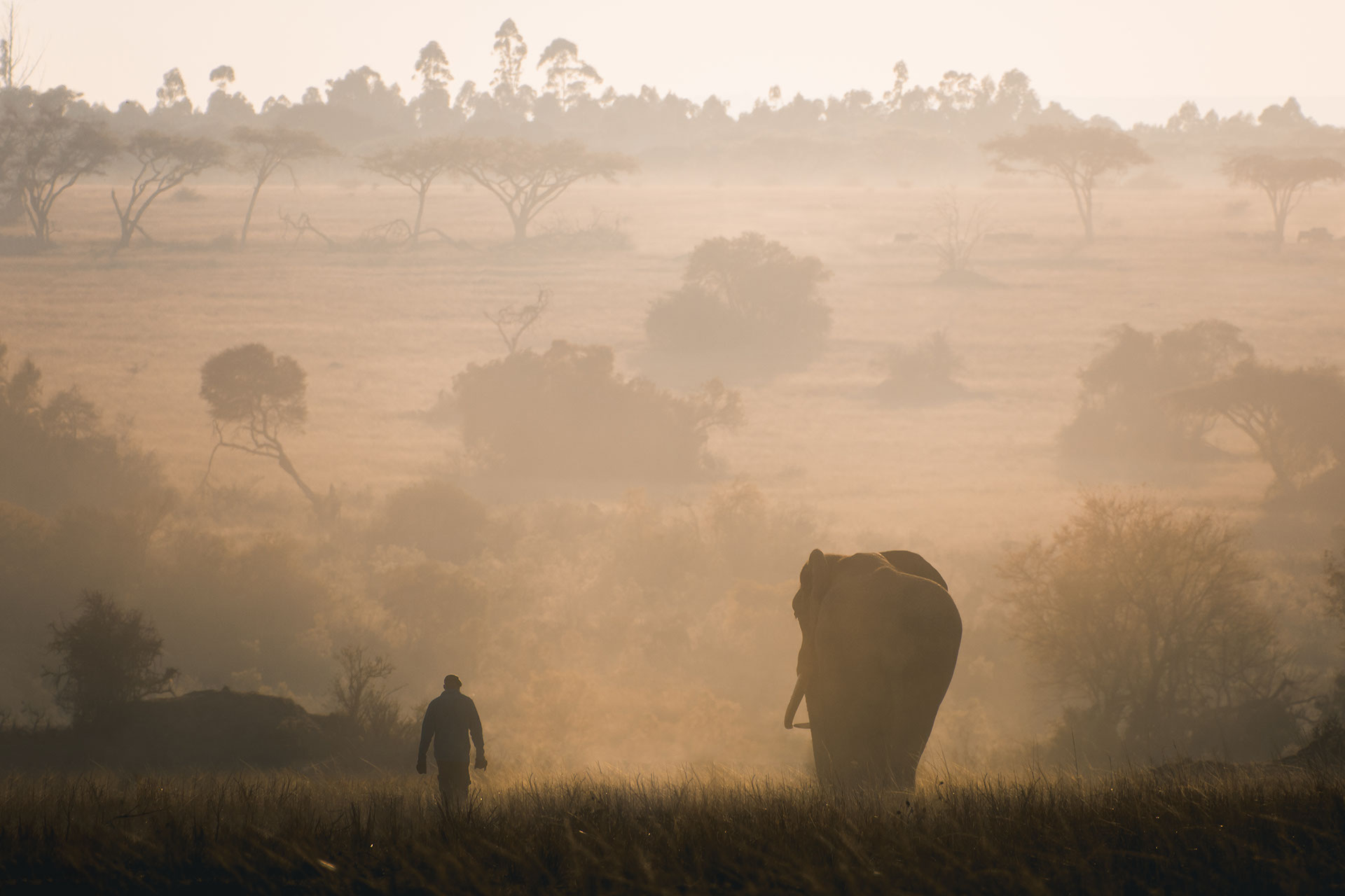 Zimbabwe’s water crisis people are living without water We Build Value