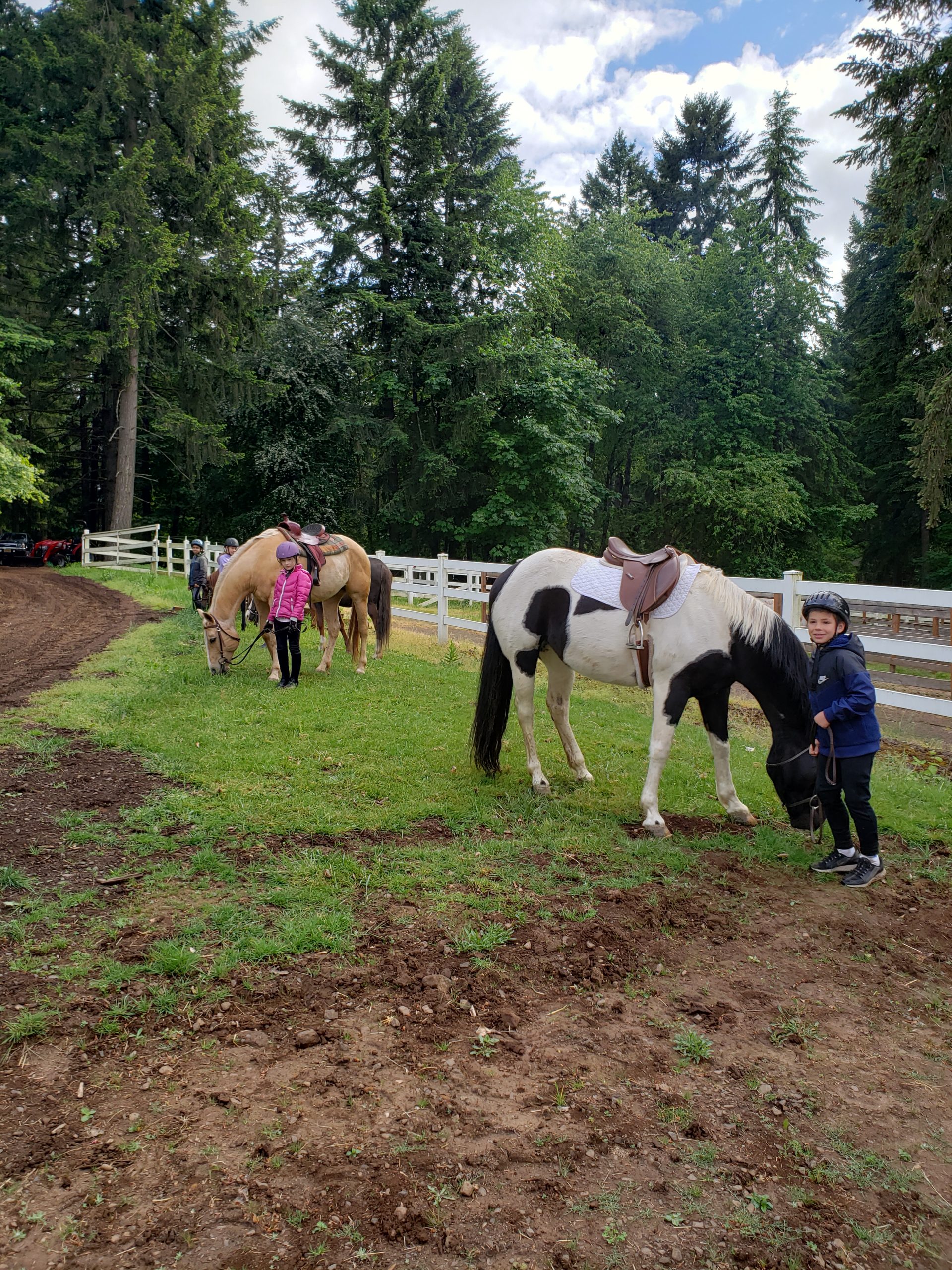 Boarding Wilsonville Equestrian Center
