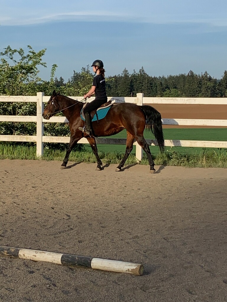 Riding School Wilsonville Equestrian Center