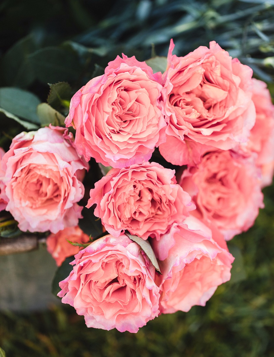 DIY Wedding Arbor From