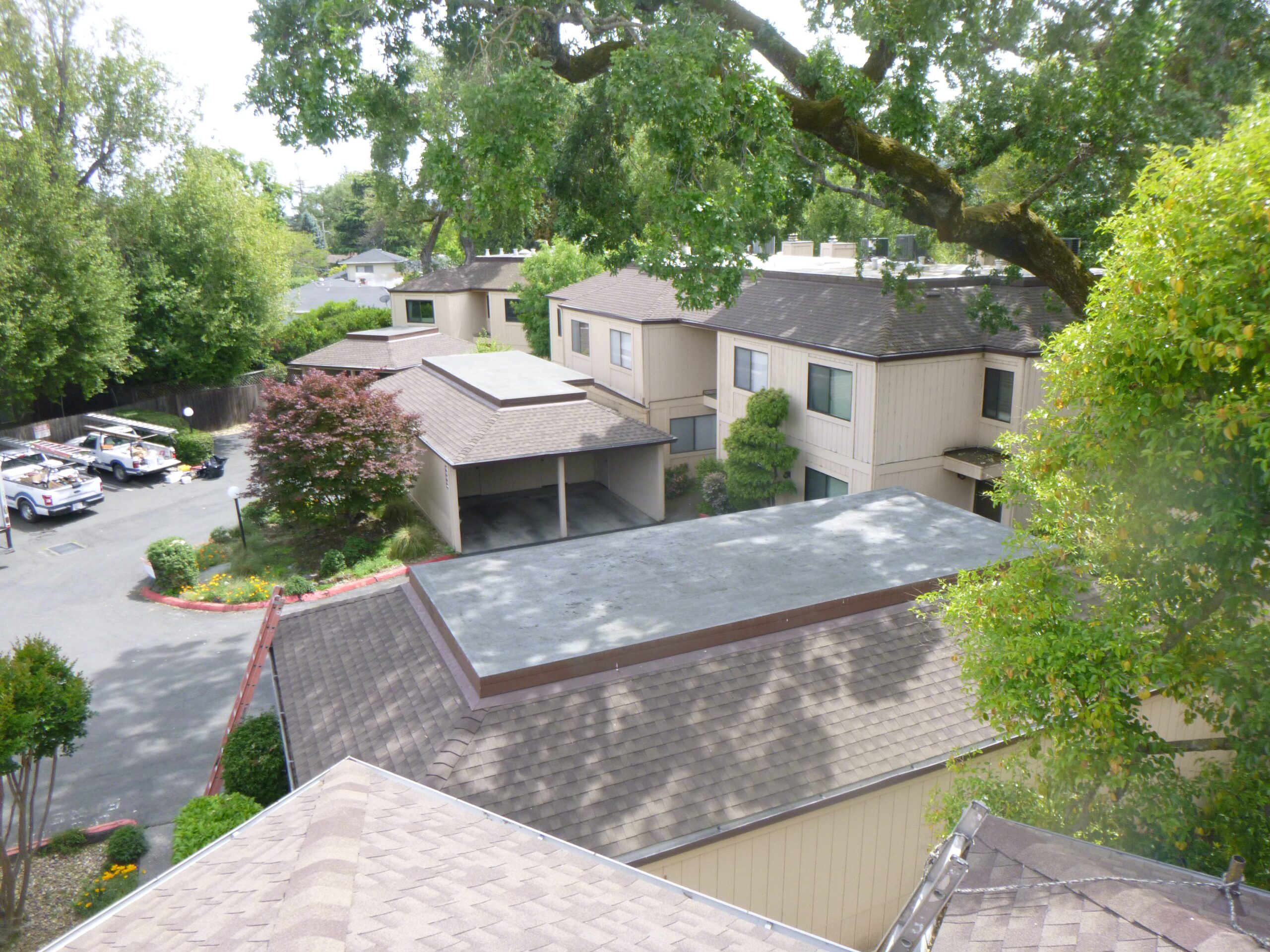 Laurel Creek HOA Wedge Roofing