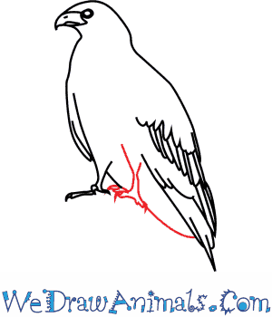 11 Strong Stainless Kite Line Winder Reel Brakes Control Adult Men