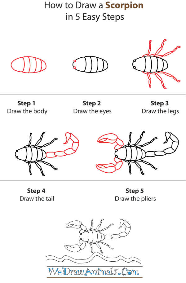 How to Draw a Scorpion