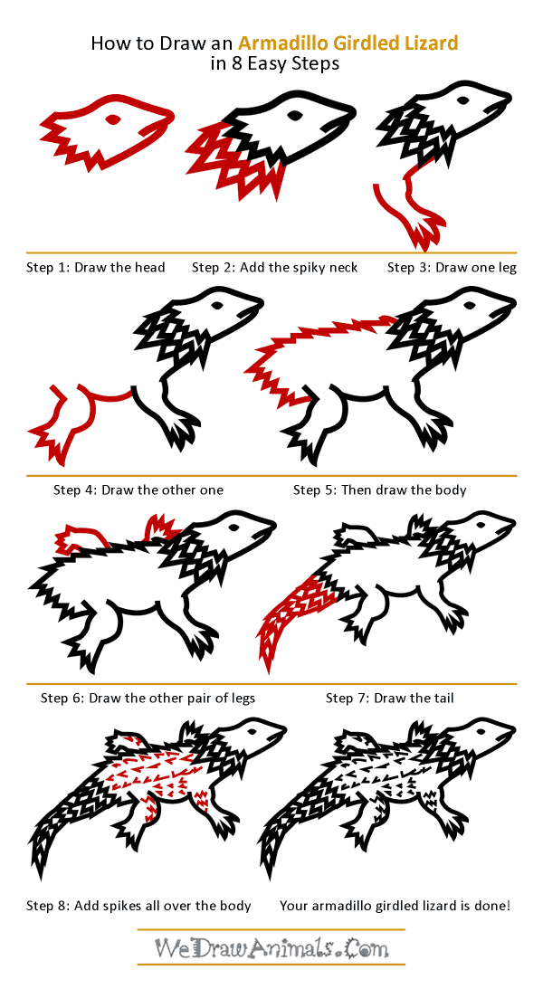 How to Draw an Armadillo Girdled Lizard