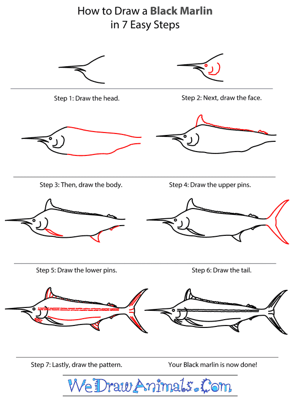 How to Draw a Black Marlin