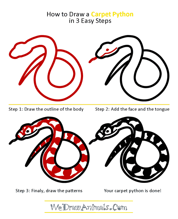 How to Draw a Carpet Python