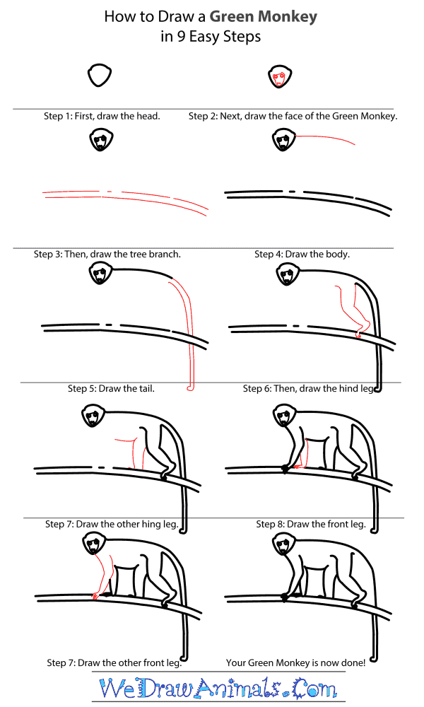 How to Draw a Green Monkey