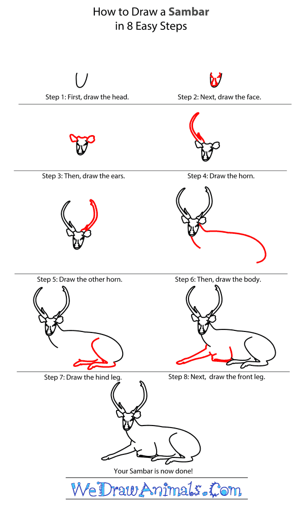 How to Draw a Sambar