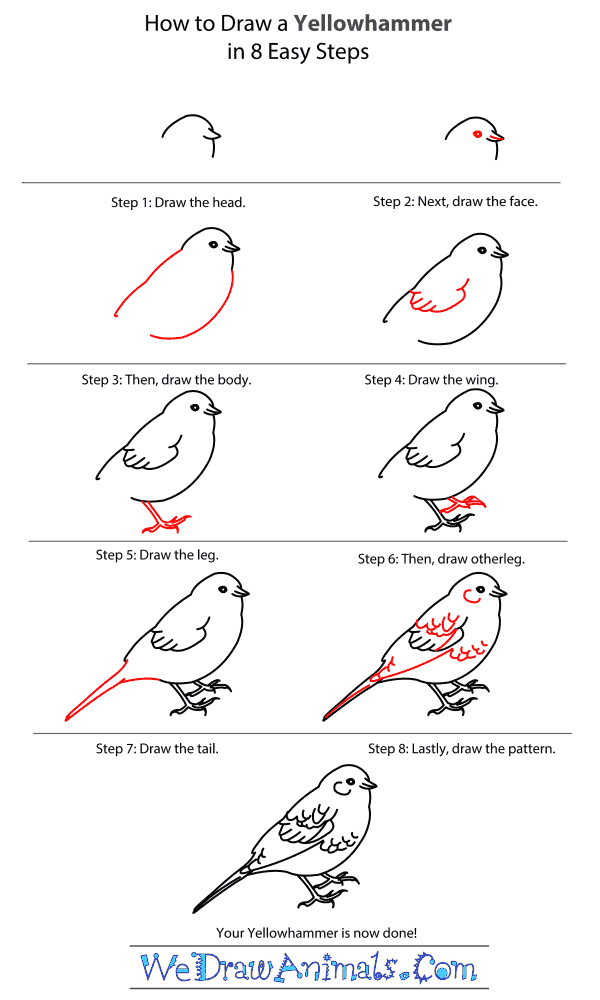 How to Draw a Yellowhammer