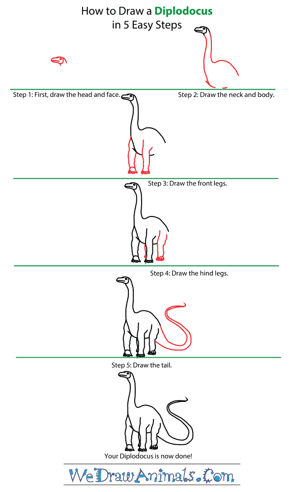 How to Draw a Diplodocus